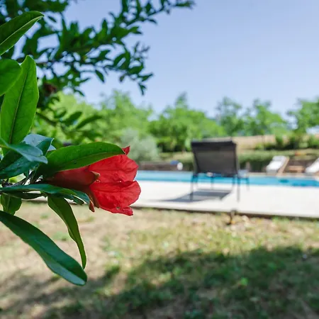 Poloturisticoumbria In Campagna Con Piscina *